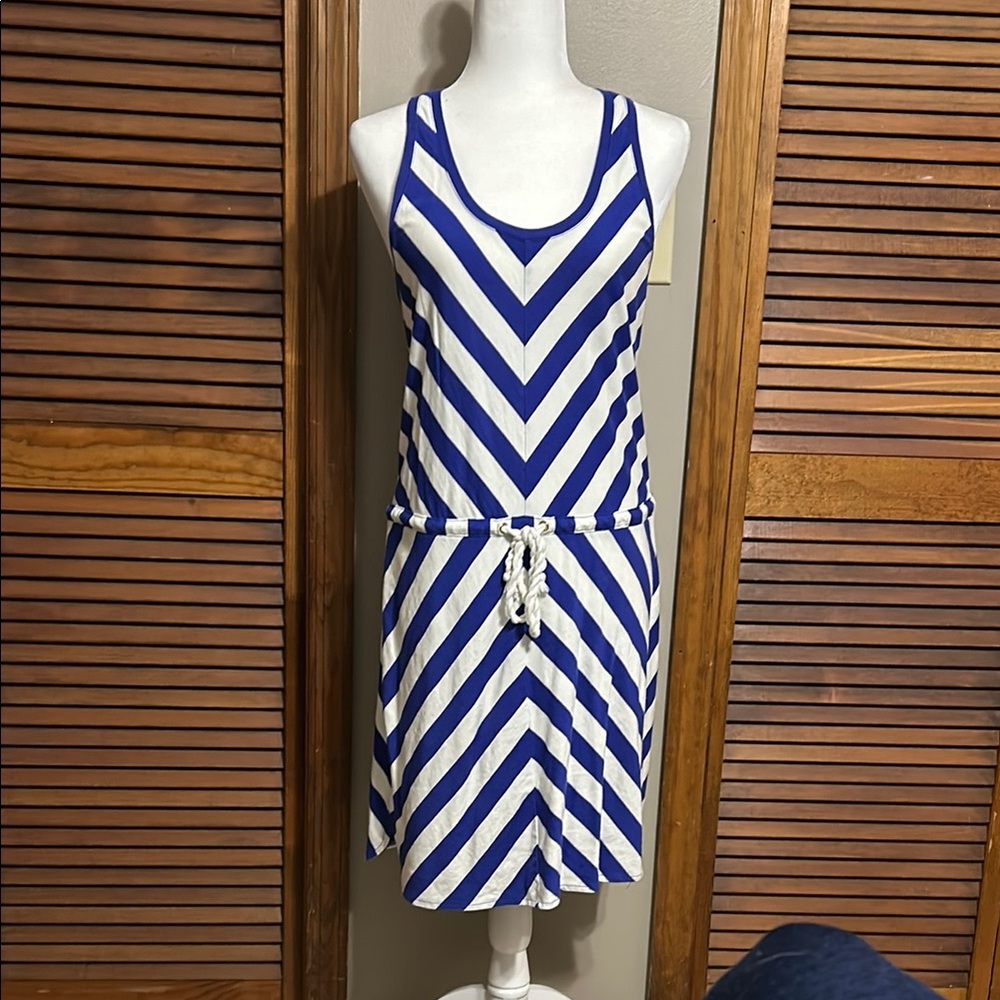 GAP Blue and White Chevron Stripe Knee-Length Sundress